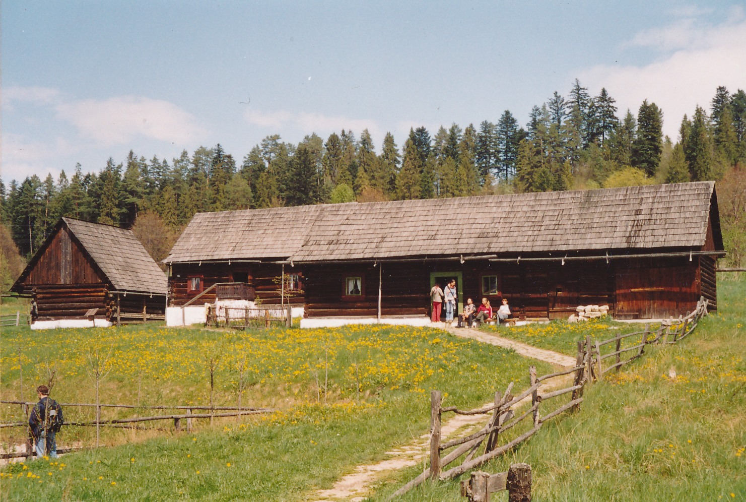 eika image